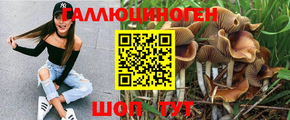 Галлюциногенные грибы Psilocybe  Вход с VPN  где продают наркотики  Псилоцибиновые грибы прущие грибы  Гурьевск 