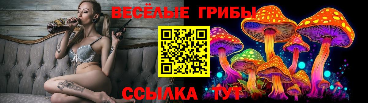Псилоцибиновые грибы Psilocybine cubensis Гурьевск