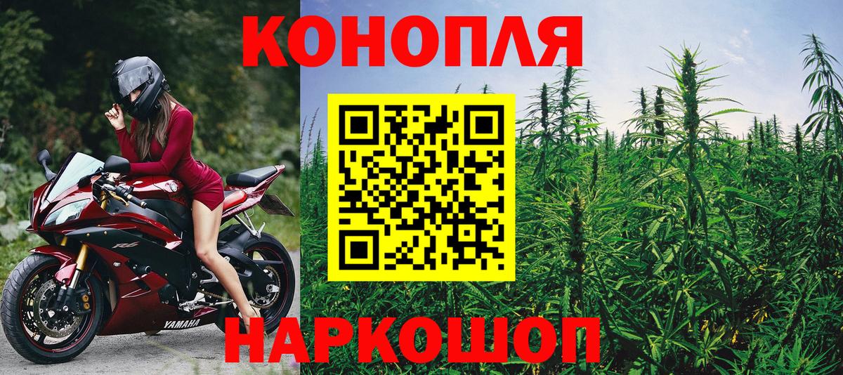 МАРИХУАНА индика Гурьевск